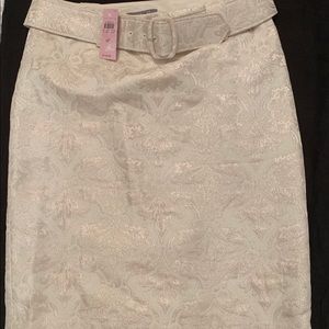 Ann Taylor Women skirt